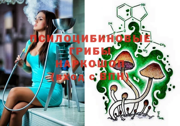 PSILOCYBIN Корсаков